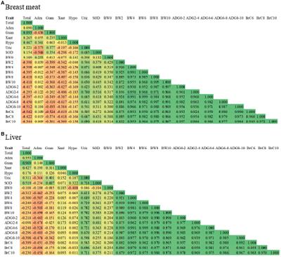 Comparative study and relationship analysis between purine content, uric acid, superoxide dismutase, and growth traits in purebred and crossbred Thai native chickens